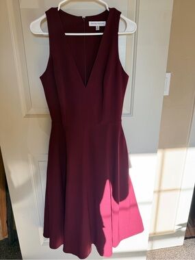 Dress the Population Sleeveless V-Neck Fit & Flare Dress in Burgundy